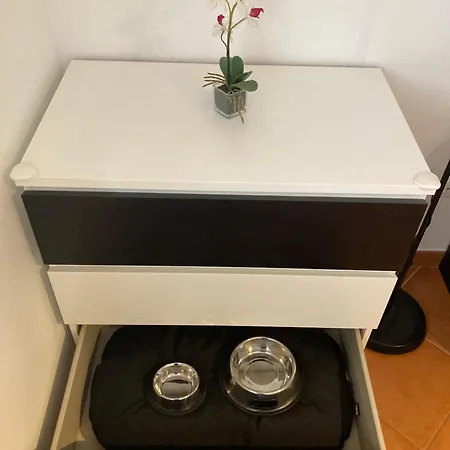 Modern Apartment@armacao De Pera Appartement