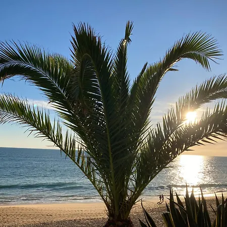 Modern Apartment@armação De Pêra