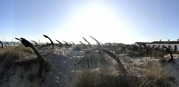 Modern Apartment@armacao De Pera *